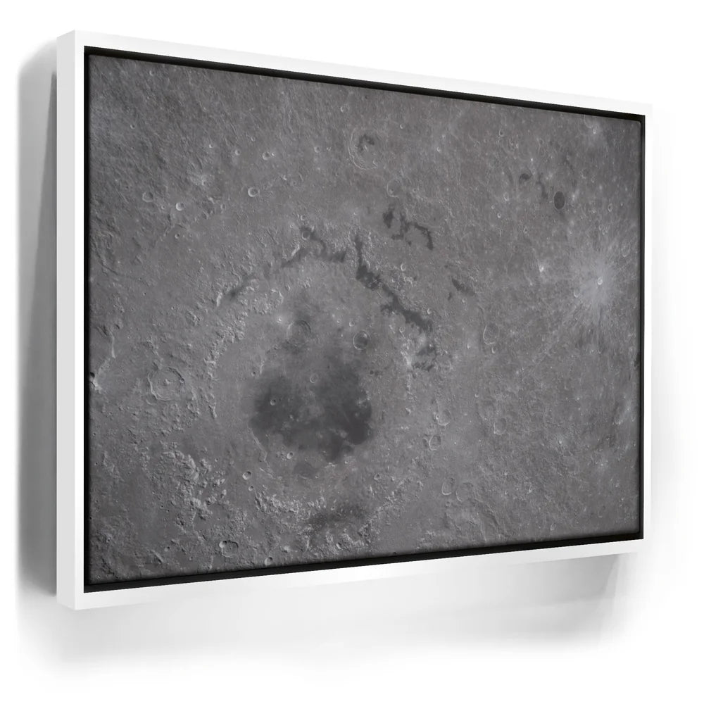 Featured image 6 for The Orientale Basin