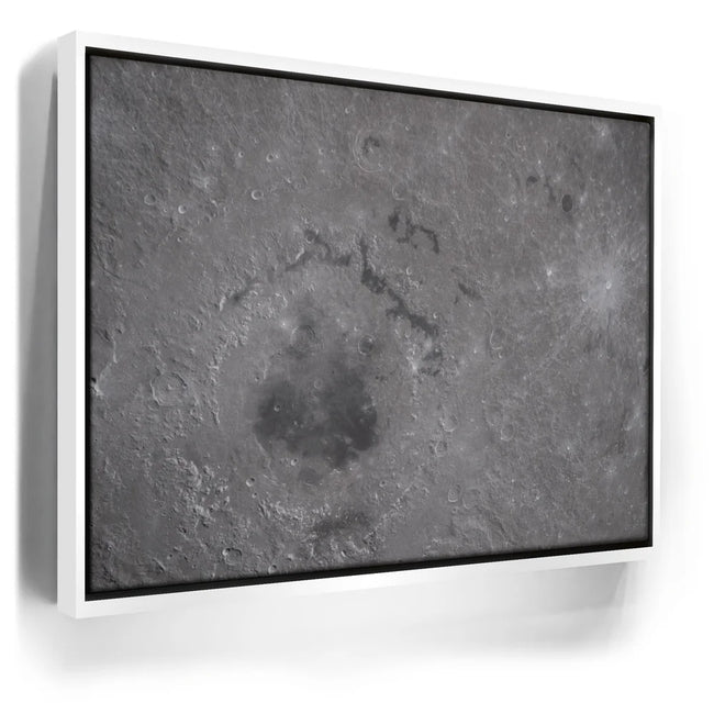 Featured image 6 for The Orientale Basin