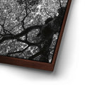 Thumbnail image 14 for The Puzzle Tree - Oahu, HI