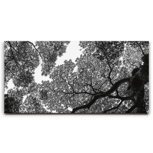The Puzzle Tree - Oahu, HI