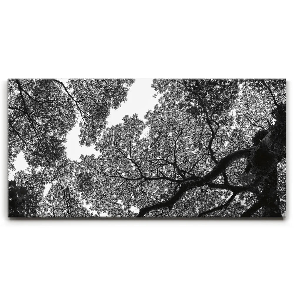 Featured image 1 for The Puzzle Tree - Oahu, HI