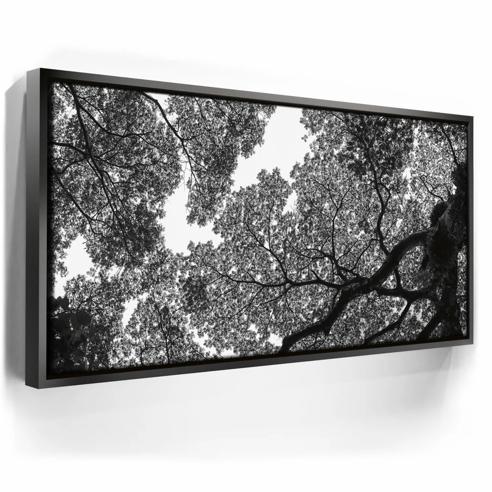 Featured image 5 for The Puzzle Tree - Oahu, HI