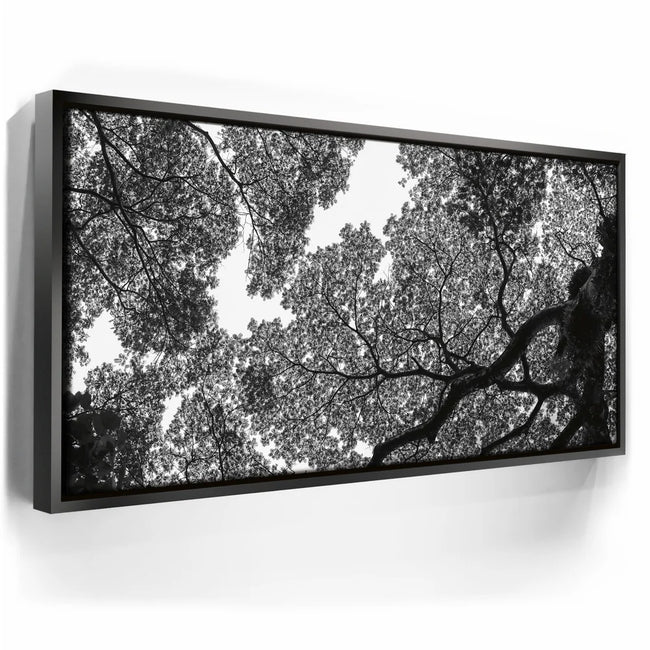 Featured image 5 for The Puzzle Tree - Oahu, HI