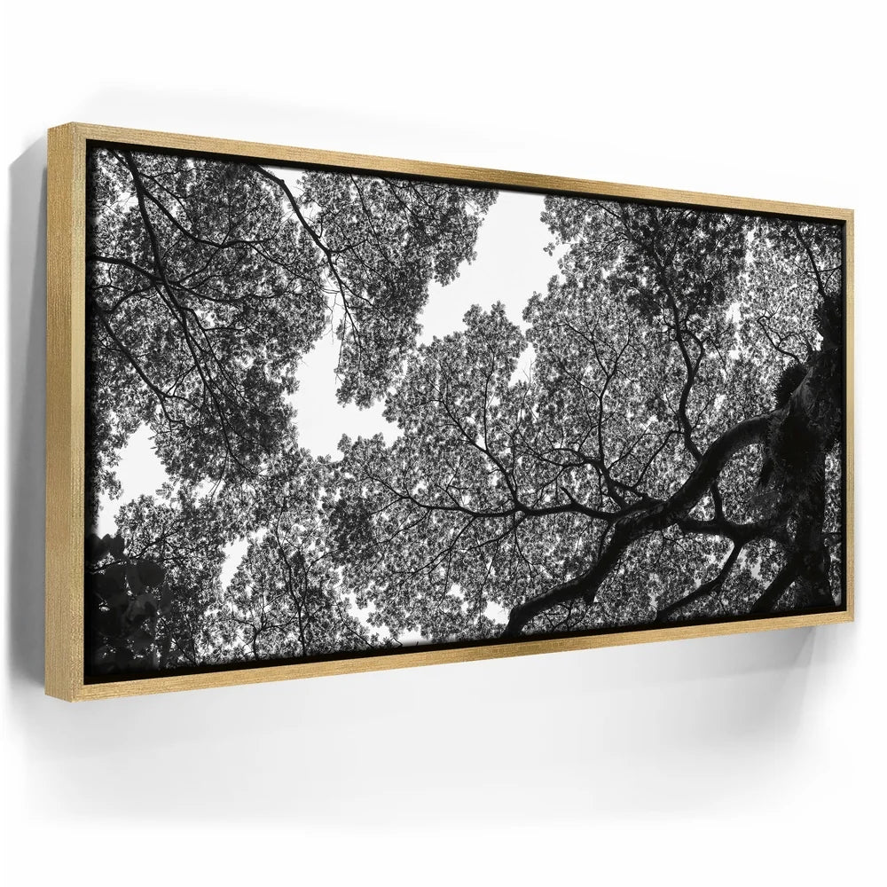 Featured image 7 for The Puzzle Tree - Oahu, HI