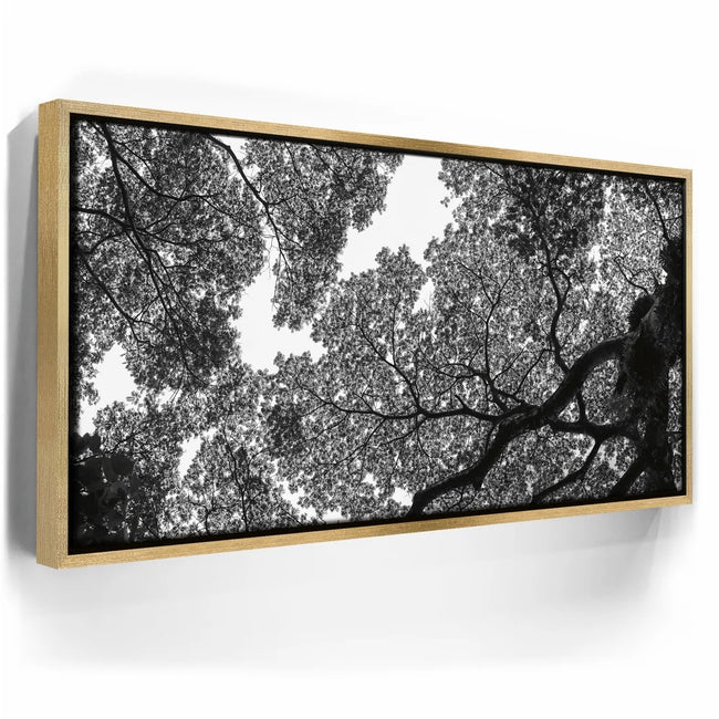 Featured image 7 for The Puzzle Tree - Oahu, HI