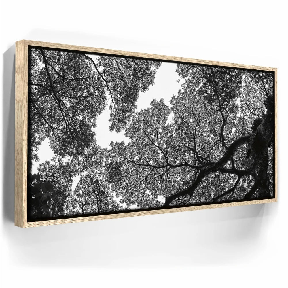 Featured image 9 for The Puzzle Tree - Oahu, HI