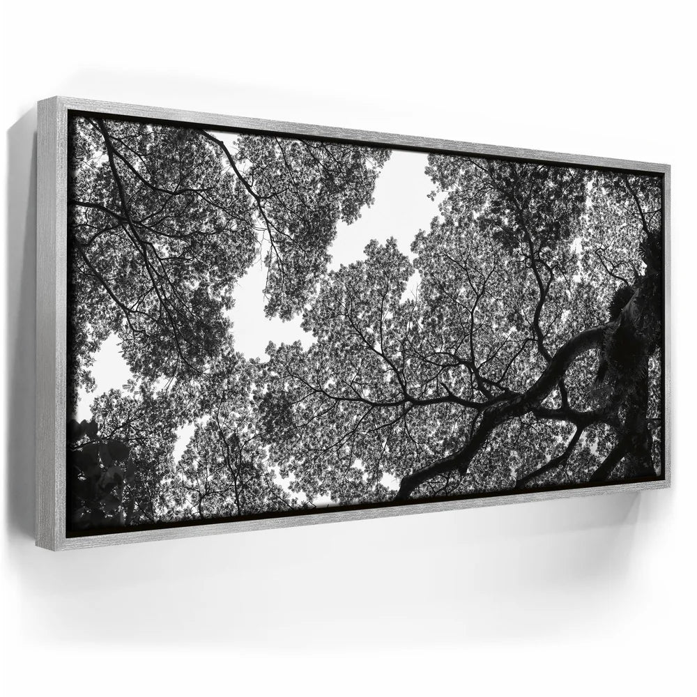 Featured image 8 for The Puzzle Tree - Oahu, HI