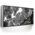Featured image 8 for The Puzzle Tree - Oahu, HI