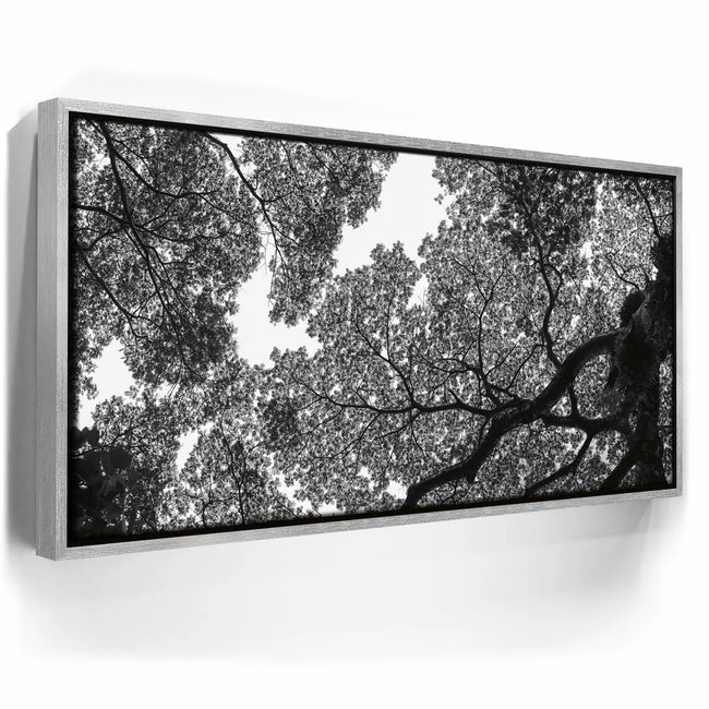 Featured image 8 for The Puzzle Tree - Oahu, HI