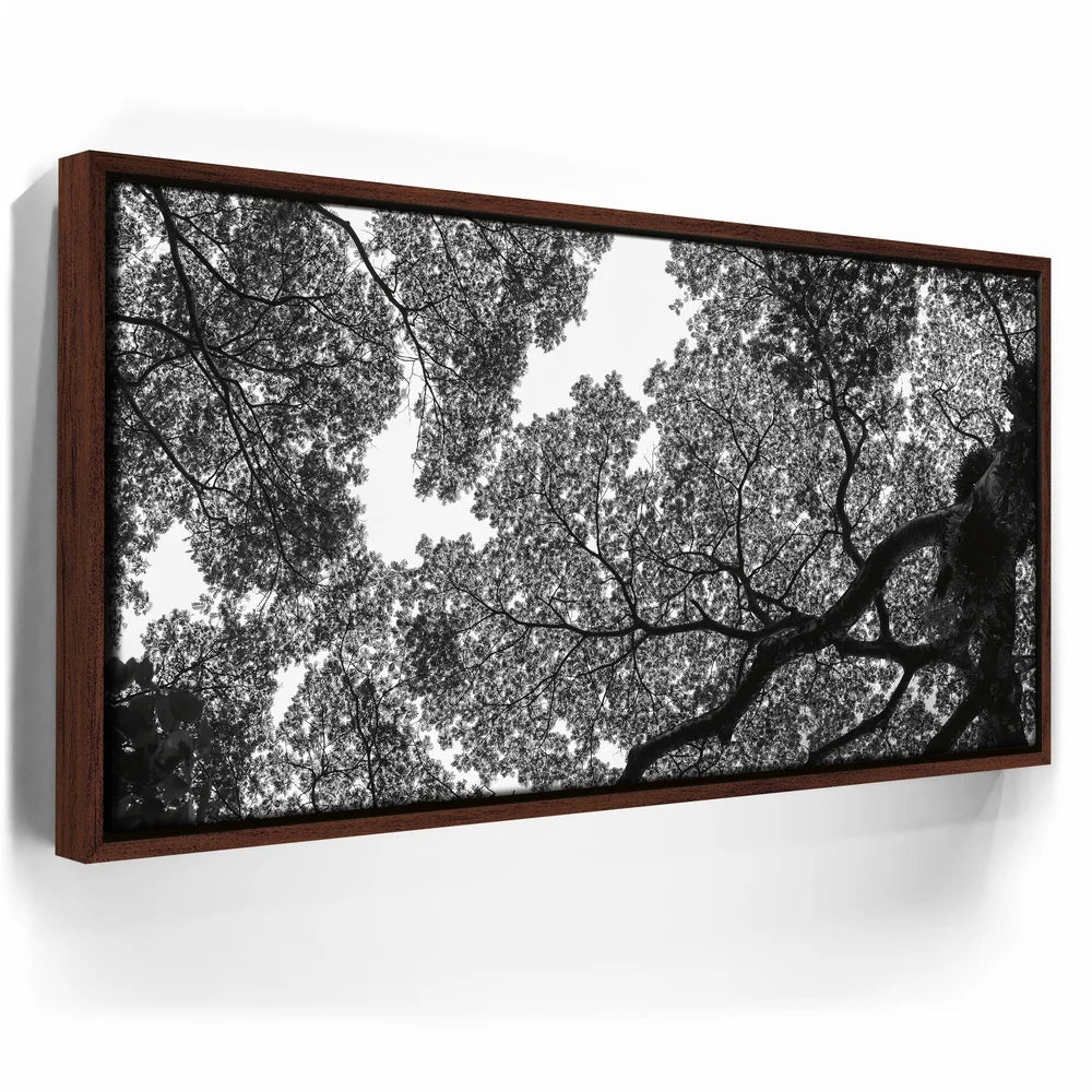 Featured image 10 for The Puzzle Tree - Oahu, HI