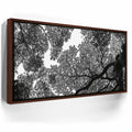 Featured image 10 for The Puzzle Tree - Oahu, HI