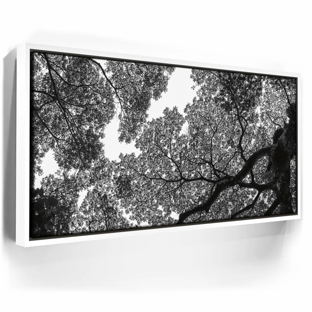 Featured image 6 for The Puzzle Tree - Oahu, HI