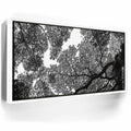 Featured image 6 for The Puzzle Tree - Oahu, HI