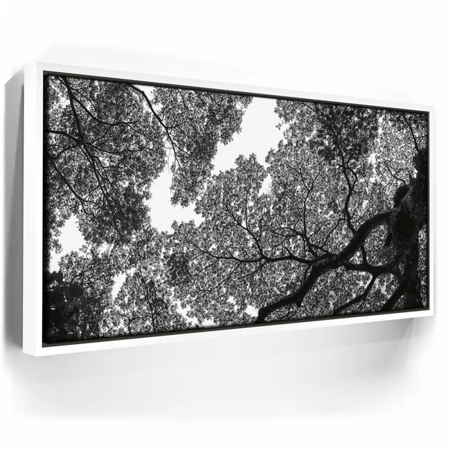Featured image 6 for The Puzzle Tree - Oahu, HI
