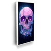 Featured image 6 for The Radiant Skull