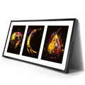 Thumbnail image 2 for The Same But Different