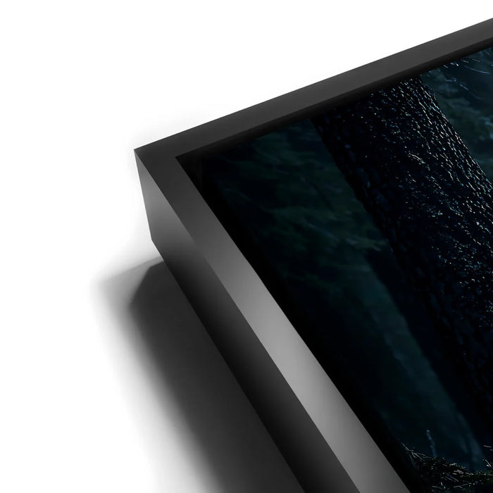 Featured image 11 for The Shadow Of The Forest