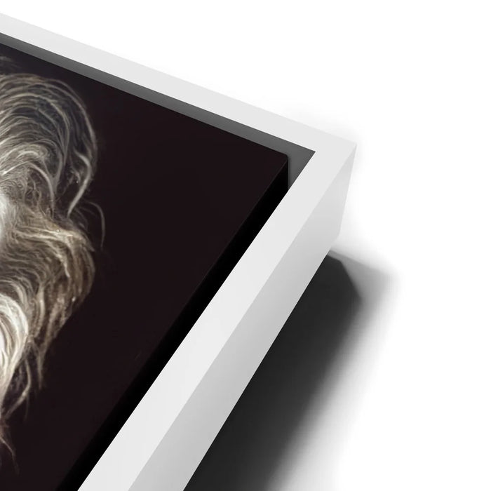 Featured image 13 for The Smartest Wiener Ever