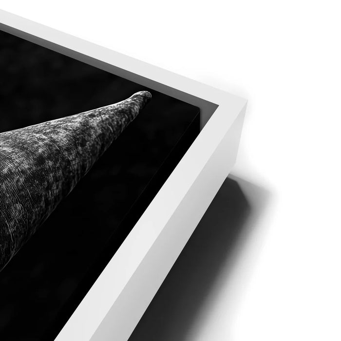 Featured image 10 for The Smiley Jester