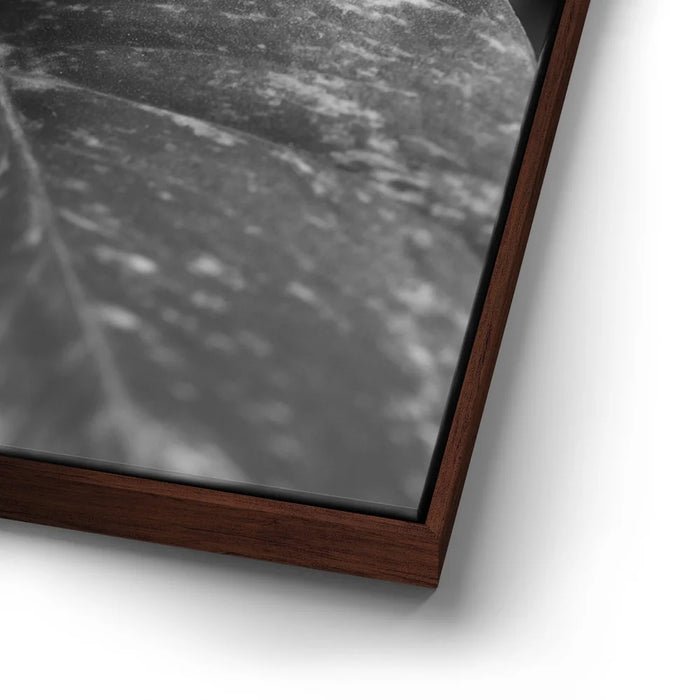 Featured image 14 for The Soft Nature - Maui, Hawaii