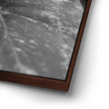 Thumbnail image 14 for The Soft Nature - Maui, Hawaii