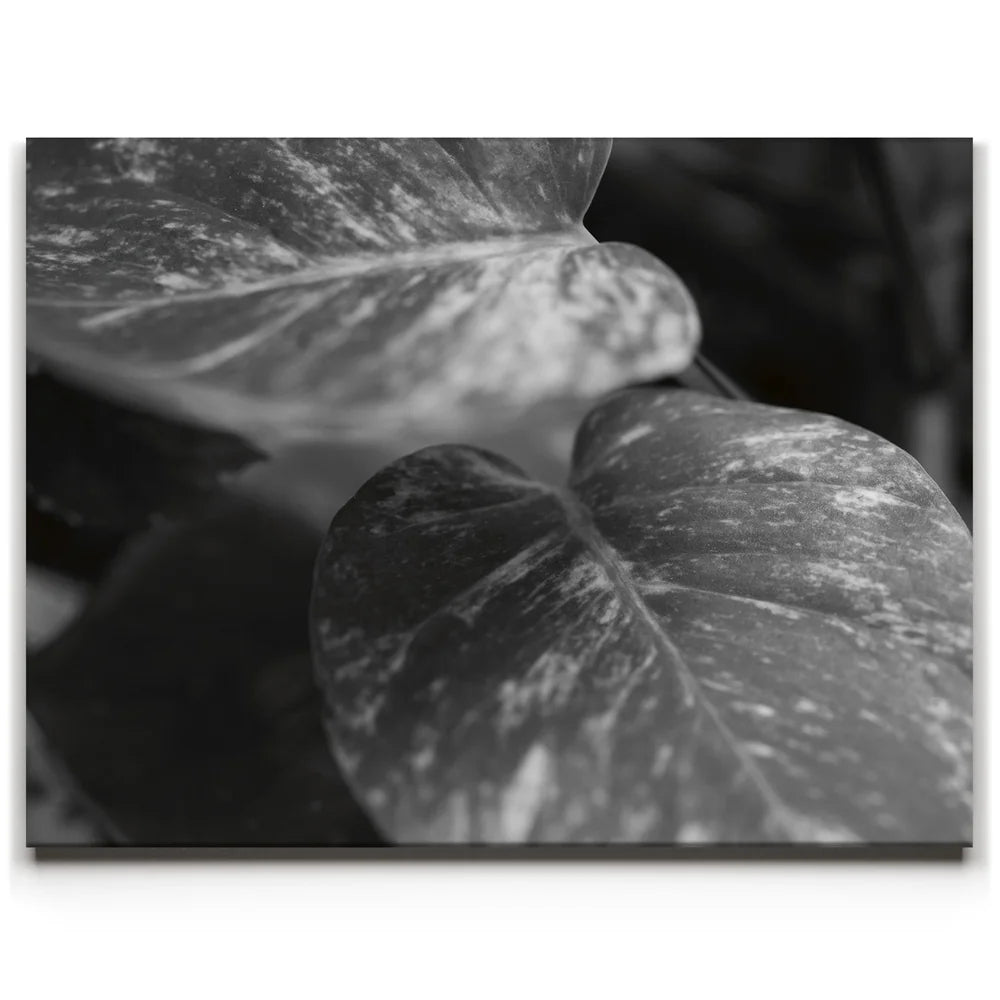 Featured image 1 for The Soft Nature - Maui, Hawaii