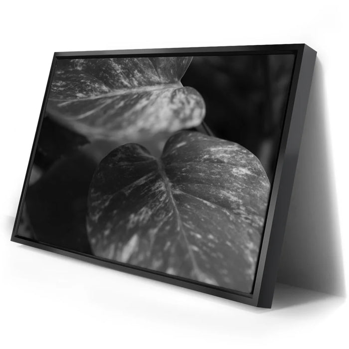 Featured image 2 for The Soft Nature - Maui, Hawaii