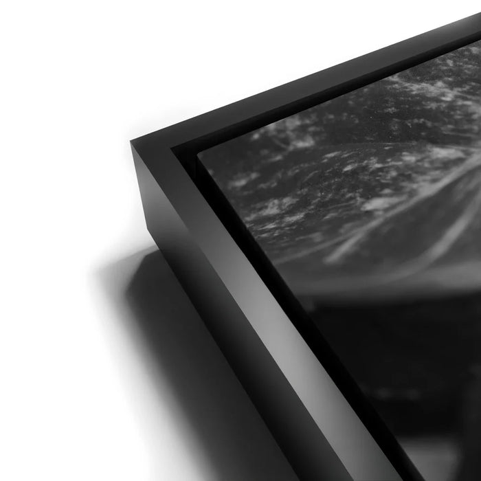 Featured image 11 for The Soft Nature - Maui, Hawaii