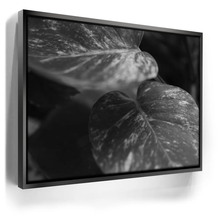 Featured image 5 for The Soft Nature - Maui, Hawaii