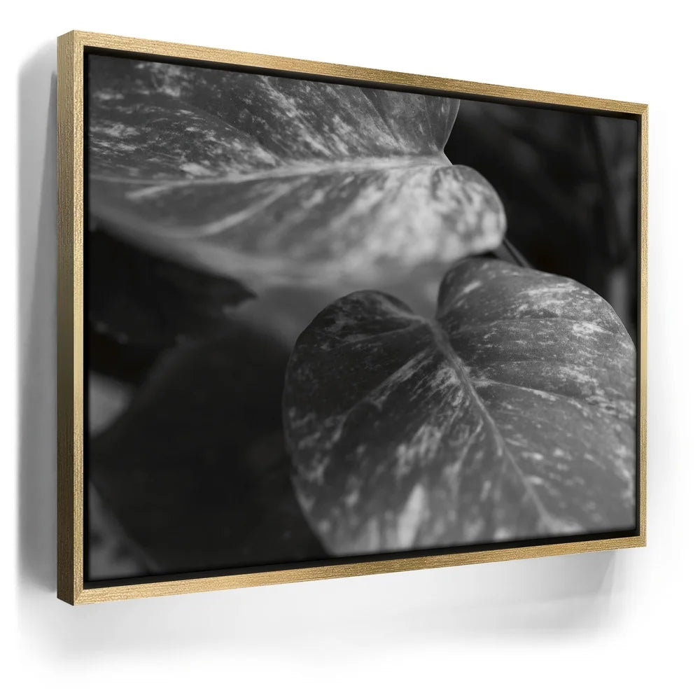 Featured image 7 for The Soft Nature - Maui, Hawaii