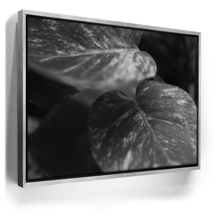 Featured image 8 for The Soft Nature - Maui, Hawaii