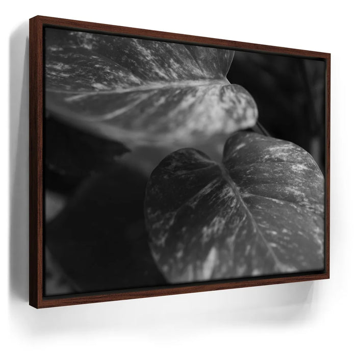 Featured image 10 for The Soft Nature - Maui, Hawaii