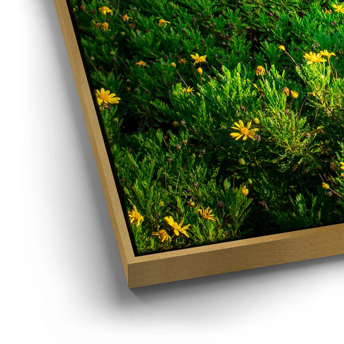 Featured image 12 for The Tunnel