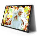 Thumbnail image 2 for The White Wizard