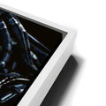Thumbnail image 13 for The Yautja's Silent Stalk