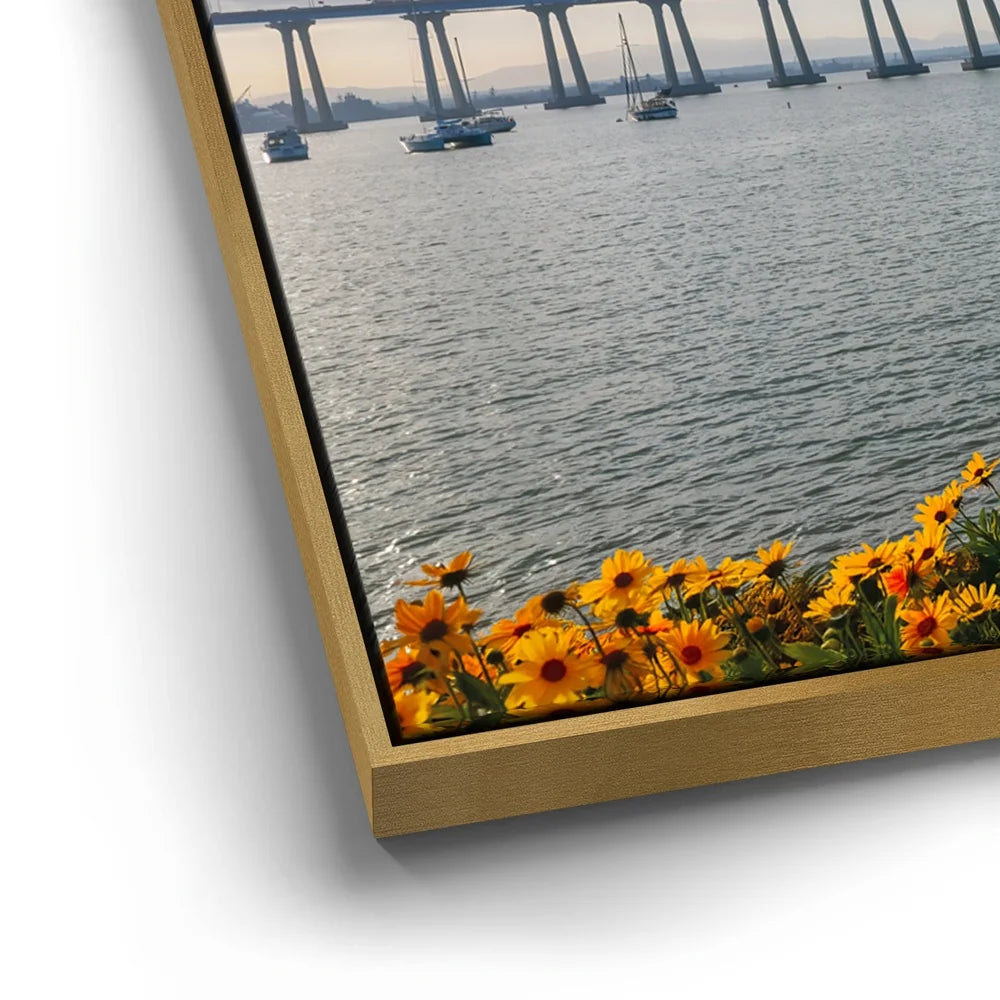 Featured image 13 for The Coronado Crossing