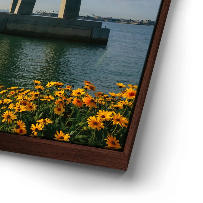 Featured image 15 for The Coronado Crossing