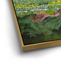 Thumbnail image 13 for The Dream is Real