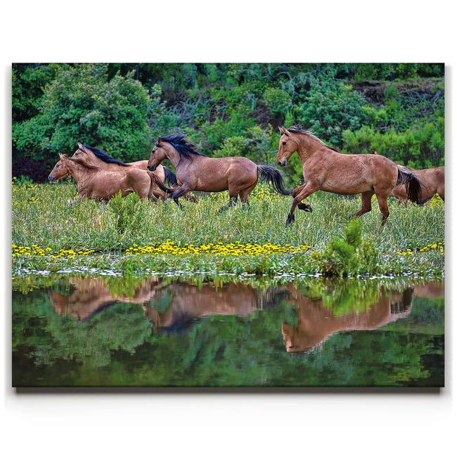 Featured image 1 for The Dream is Real