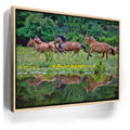 Featured image 10 for The Dream is Real