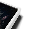 Thumbnail image 14 for The Mystical Midnight Moth