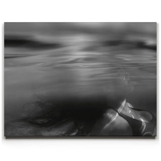 The Water Muse - Maui - Hawaii
