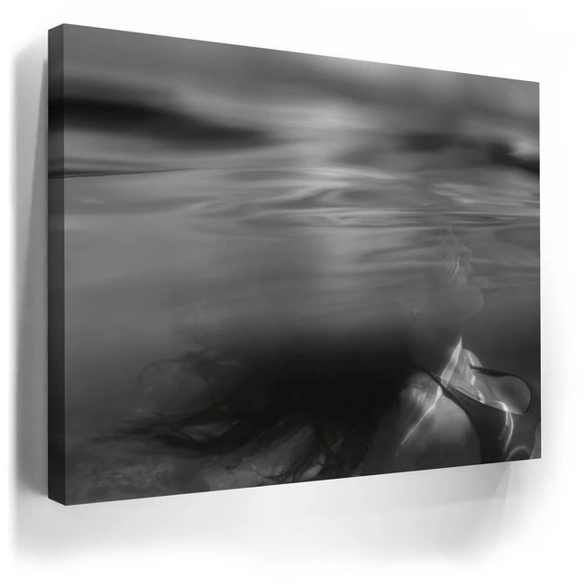Featured image 3 for The Water Muse - Maui - Hawaii