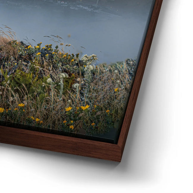 Featured image 14 for Through The Fog - San Francisco