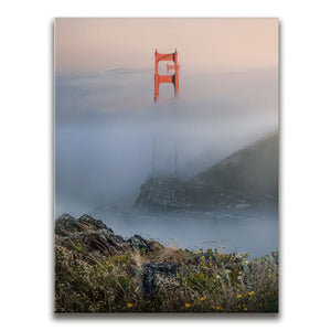 Through The Fog - San Francisco