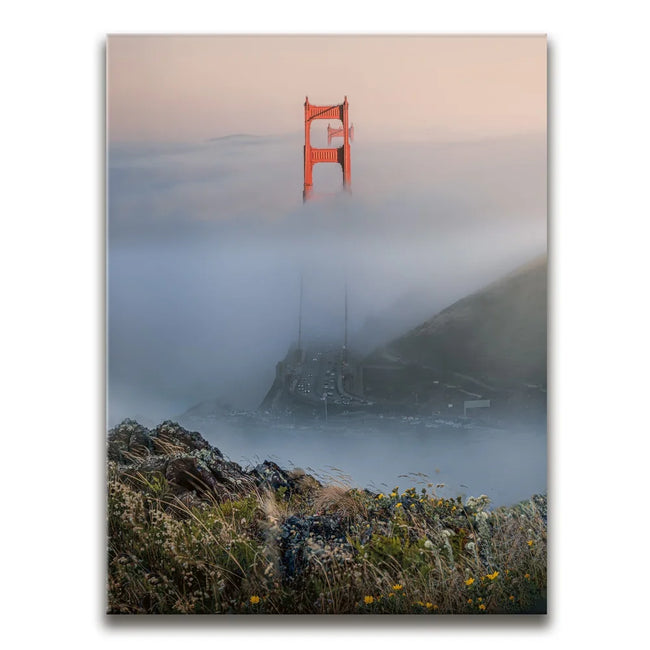 Featured image 1 for Through The Fog - San Francisco