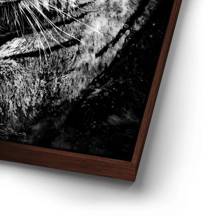 Featured image 14 for Tiger - Watercolor - Black and White