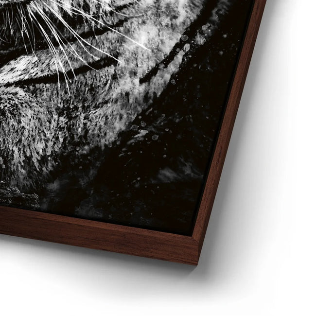 Featured image 14 for Tiger - Watercolor - Black and White