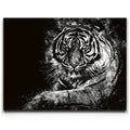 Featured image 1 for Tiger - Watercolor - Black and White