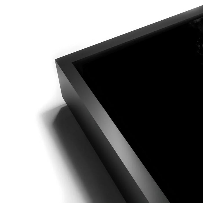 Featured image 11 for Tiger - Watercolor - Black and White